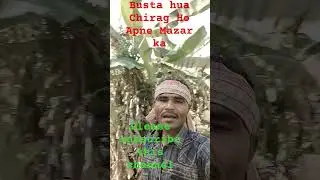 gusta hua Chirag hun Apne Mazar ka. #song #love #funny #funnyscenes
