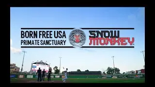Drinking for a Cause: Our Partnership with Born Free USA
