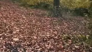 Merhaba... Kopenhag Valbypark.