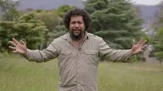 How to track chips - Jordys Outback Adventure