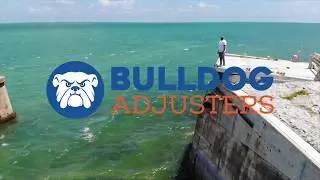 Bulldog Adjusters: Who Are We?