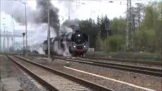Drei Dampfloks in Peitz Ost - 01 509, 35 1019 & 18 201 mit Sonderzug nach Wolsztyn