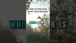 Stop Letting Fear Make Your Decisions #motivation #changeyourmindsetchangeyourlife #beforeyouquit
