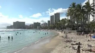 Hawaii Tourism Authority's virtual Spring update