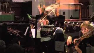 Ice Sculptures - St. John's Chamber Orchestra
