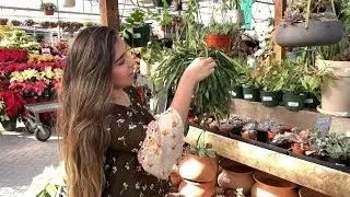 Houston Plant Swap | Plant Nursery Tour/Shopping! Vlog 1