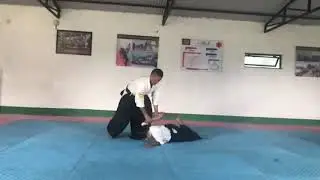 Emily K9 Aikido Dojo #shorts #shortvideo #nepal #aikido #kotegaeshi 