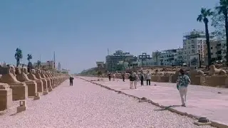 L, all&eacute;e des sphinx, entre le  Karnak,et Louxor,partie.2. طريق الكباش،بين الكرنك الأقصر،جزءثانى