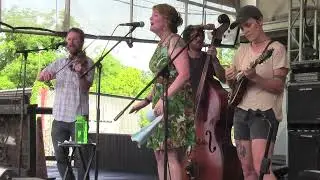 Uncle Mosie & Wax Wings on June 14, 2025 at Heartwood Soundstage, Gainesville, FL
