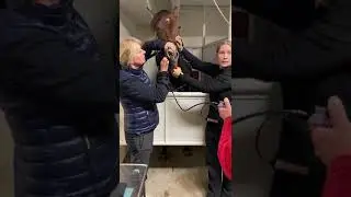 Endoscope Equin ManoView FastExam