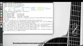 OpenIDMInstallationInLXC