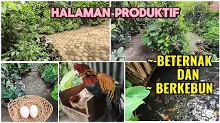 Inspirasi Halaman Rumah Produktif #video #fyp #petanirumahan 