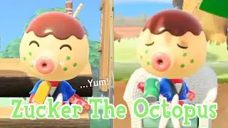 Zucker The Octopus Lazy Villager Animal Crossing New Horizons ACNH