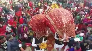 Nanda Devi Raj Jaat Yatra ( श्रीनंदा राजजात यात्रा  )