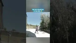 Ain&rsquo;t no way this delivery driver got hops like that 🐸 (🎥: u/chrisashley)