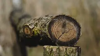 A bajaiak horgásztava, a Kék-tó /A visszakapott természet - Juhász Gyula rövidfilmje