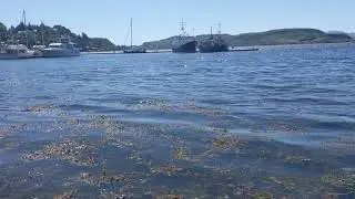 Oban Bay