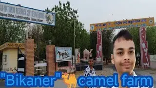 #Bikaner#camelfarm#tour....