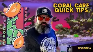 Coral Care Quick Tips with Rob Bernhardt REEFSTACHE!