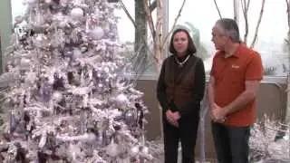 Al's Christmas Tree Trends