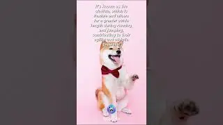Hidden dog facts that will blow your mind | 15 #shorts