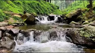Sleep Better with Peaceful River Sounds | 10 Hours of Relaxing Water White Noise for Insomnia