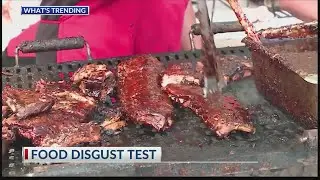 Food Disgust Test
