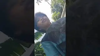 #kenj vlog