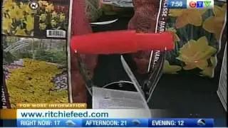 Ritchie Feed and Seed