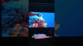 Which is the Viral Affordable android 11 projector 2023?