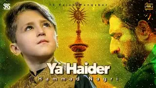 Ya Haider | Hammad Nagri | 13 Rajab Manqabat 2025