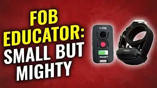 E-Collar Technologies FOB Educator – Functions, Features & Best Accessories