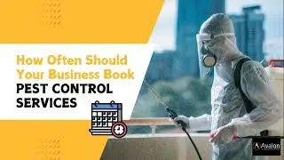 How Often Should You Book Pest Control Services?