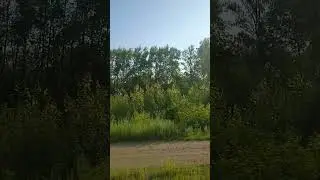 Я еду в поезде... 🌳🌲#реки #ржд #пластилинчик #shorts