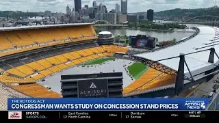 Local congressman wants study on concession stand prices