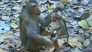 Million Heart-breaking Pity little Baby-why Doing like that?