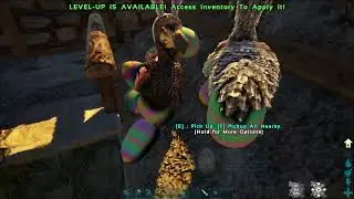 bunny dodo farm