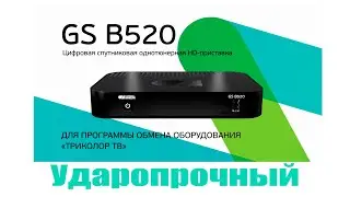 GS B520