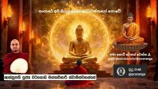 බුදු බණ - 041 : සංසාරේ අපි සියලු දෙනා ශුද්ධවන්තයෝ නොවේ