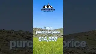 10 Acres Land for Sale in Elko County | Off-Grid Land Near I-80 | $299 Down Owner Financing | 25005