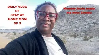 Daily Vlog | Walked around a mountain & cleaned up