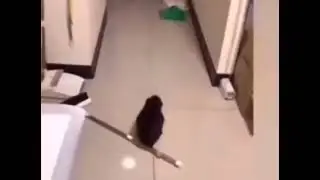 Create Crime Scene