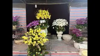 3/2 VÀO MUA HÀNG NÀO CÁC CỤ 0906110068