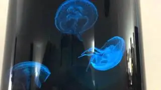 Jellyfish Art nanotank combined with Philips Hue 2.0
