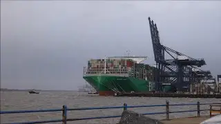 Ever Ace bids goodbye to a very gusty Port of Felixstowe. Four Svitzer tugs assist 8th December 2021