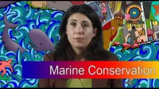 100 Story Project - Ashley Blacow: Marine Conservation