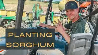 Planting MILO (Grain Sorghum)