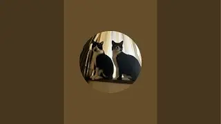 寝る準備中💤