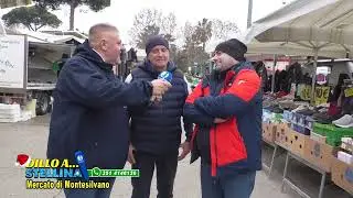 Dillo a Stellina  Mercato di Montesilvano - 30 Dicembre 2025