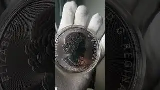 Canada's silver has built-in security!  #shorts #facts #factshorts - #silver #gold